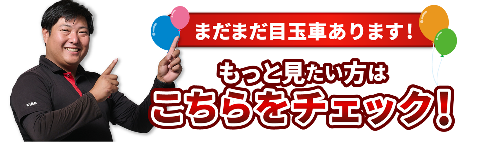 もっと見たい方はこちらをチェック！