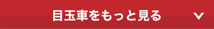 もっと見る