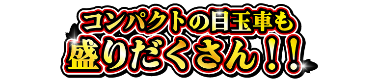 人気スライド車種の目玉車も盛りだくさん！！