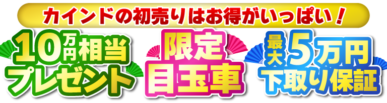 10万円相当プレゼント 限定目玉車 最大5万円下取り保証