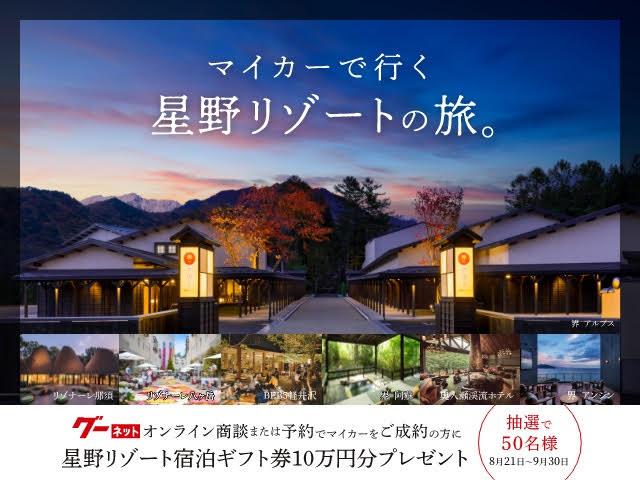 優待券/割引券星野リゾート 宿泊ギフト券 10万円分 - dibrass.com