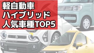 【軽自動車/ハイブリッド】人気車種ランキングTOP5!!